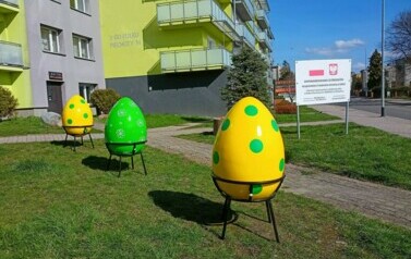 IMG20240326135254