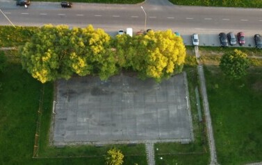 DJI_0006