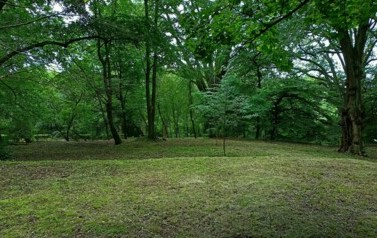 IMG20240716141546