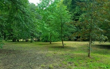 IMG20240716141448