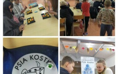 świelticewpazdzierniku (32)