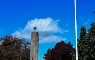 2BZ_1631