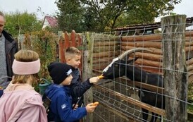 Izba pod Kasztanem-dokarmianie zwierząt
