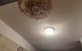 1741587098863