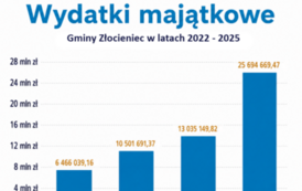 Wydatki majątkowe