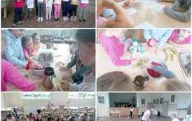 wakacjewswietlicach (3)