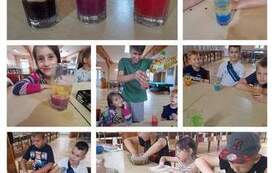 wakacjewswietlicach (1)