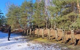 333523088_758860815617443_2134811804008332843_n