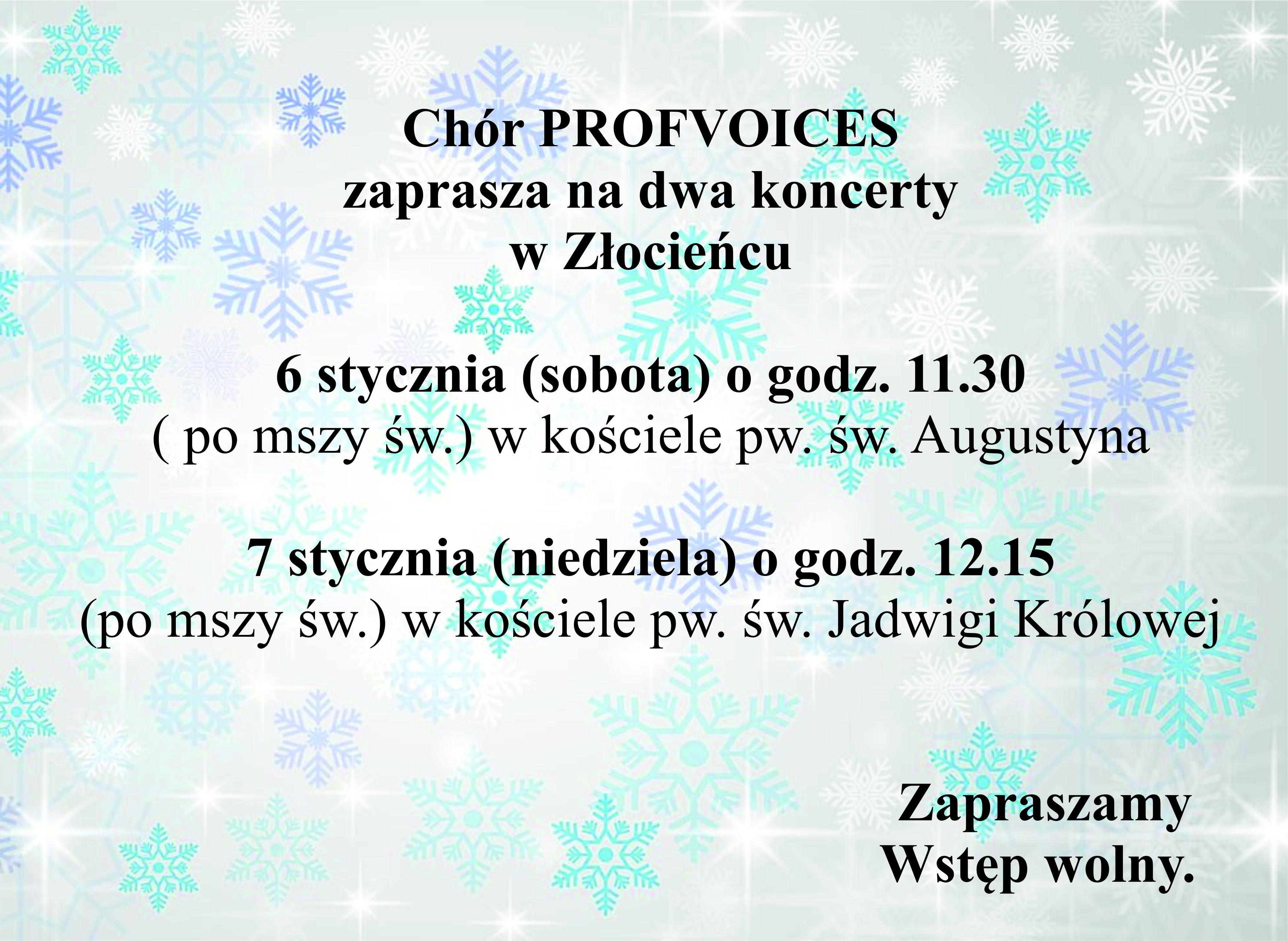 Koncert_PROFVOICES_2024