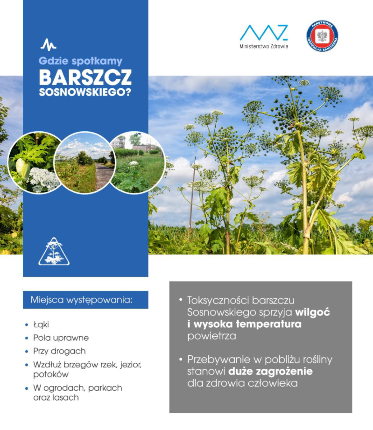 Barszcz Sosnowskiego - ulotka