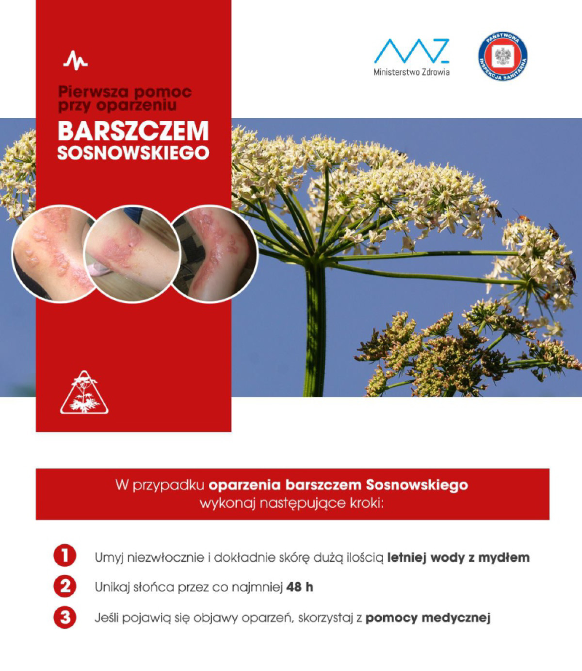 Barszcz Sosnowskiego - ulotka