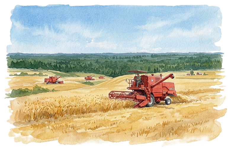 Kombajny "Bizon" podczas żniw Kombajny "Bizon" podczas żniw