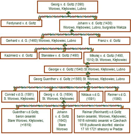 Drzewo genealogiczne "czarnej linii" rodu Golczów, czyli właścicieli Starego Worowa i Kłębowca do 1643 r.; informacje dotyczące XIV i XV w. należy traktować jednak jako niewiarygodne lub wręcz nieprawdziwe; drzewo opracowane na podstawie dzieła barona Friedricha von der Goltza, Nachrichten ueber die Familie der Grafen und Freiherrn von der Goltz, 1885 r.; Drzewo genealogiczne "czarnej linii" rodu Golczów, czyli właścicieli Starego Worowa i Kłębowca do 1643 r.; informacje dotyczące XIV i XV w. należy traktować jednak jako niewiarygodne lub wręcz nieprawdziwe; drzewo opracowane na podstawie dzieła barona Friedricha von der Goltza, Nachrichten ueber die Familie der Grafen und Freiherrn von der Goltz, 1885 r.;