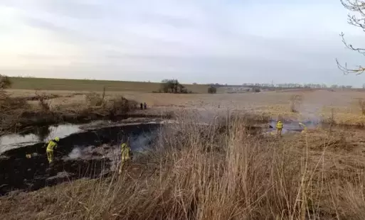 Zdjęcie do Wypalanie traw: zagrożenie dla nas wszystkich