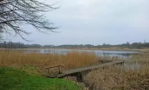 Zdjęcie do Maleszewo z retencją. Przy okazji remonty dr&oacute;g i kanalizacji