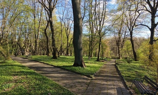 Zdjęcie do Park Żubra odzyska blask
