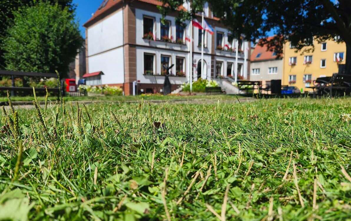 Podpisano umowę na koszenie terenów zielonych