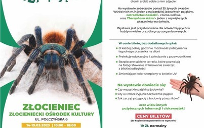 Zdjęcie do Wystawa Pająk&oacute;w