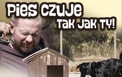 Zdjęcie do Zbliża się kolejna fala upał&oacute;w, uwaga na zwierzęta!