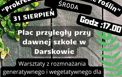 Zdjęcie do Warsztaty z prokreacyjnego rozmnażania roślin