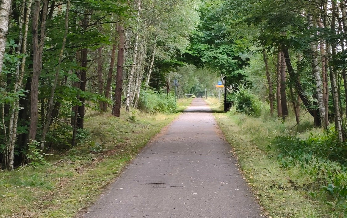 Prace pielęgnacyjne na ścieżce rowerowej zakończone